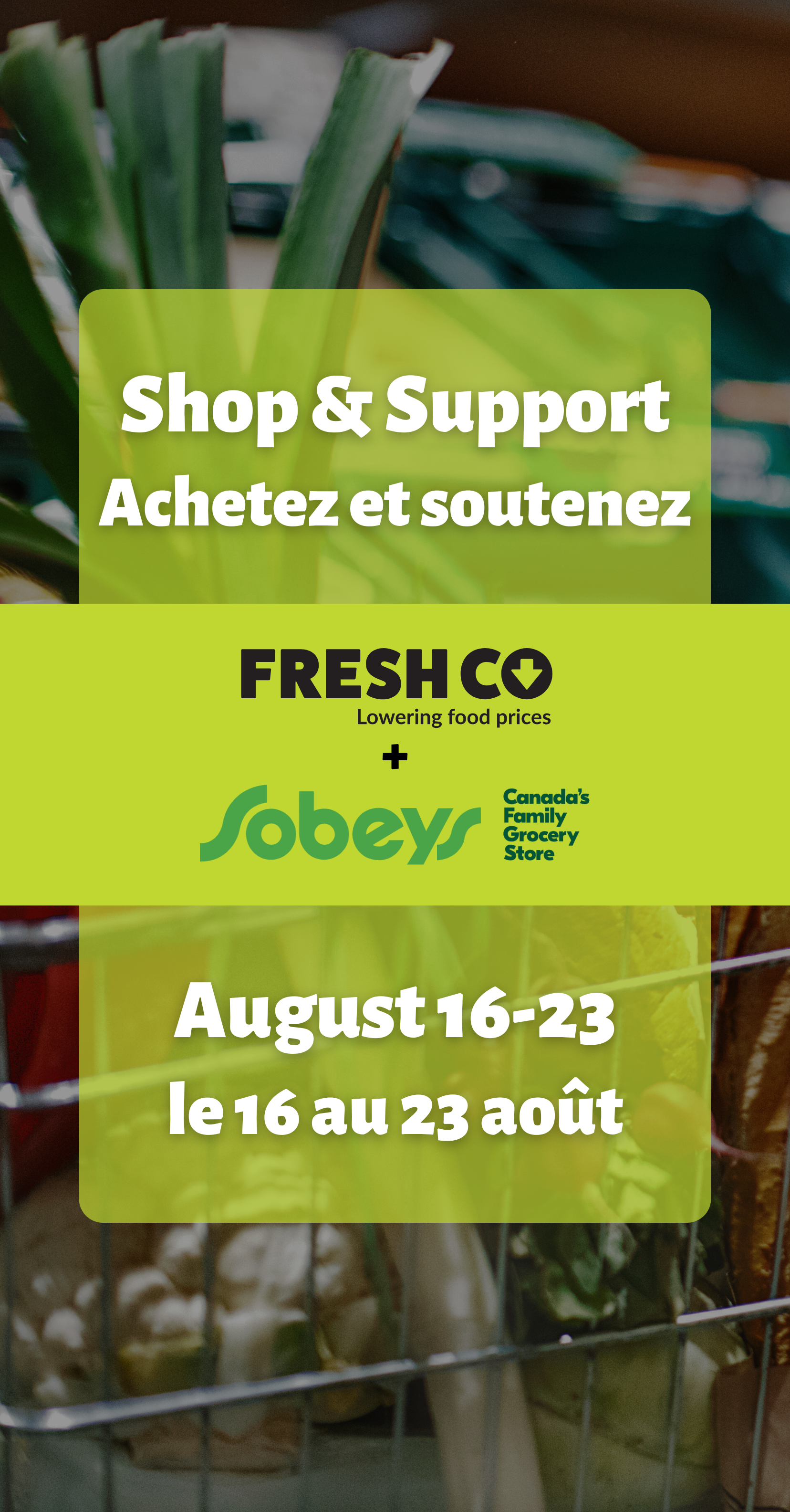 Shop & Support